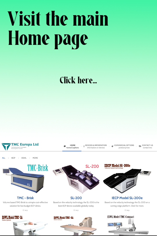 Go to main website